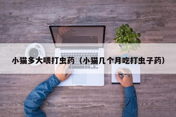 小猫多大喂打虫药（小猫几个月吃打虫子药）