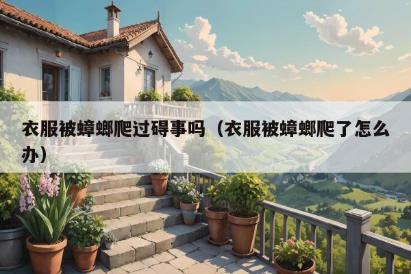 衣服被蟑螂爬过碍事吗（衣服被蟑螂爬了怎么办）
