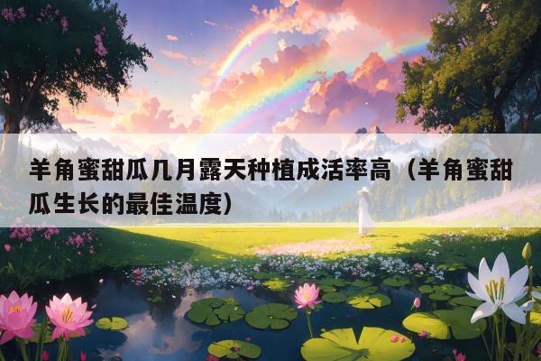 羊角蜜甜瓜几月露天种植成活率高（羊角蜜甜瓜生长的最佳温度）