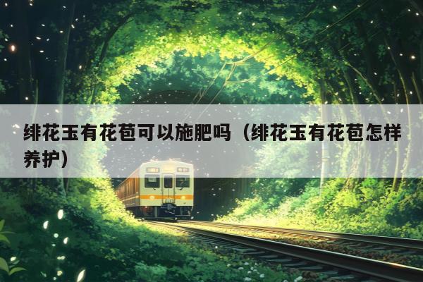 绯花玉有花苞可以施肥吗（绯花玉有花苞怎样养护）