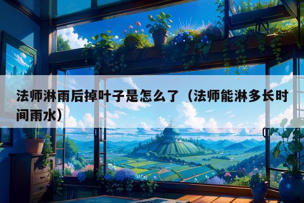 法师淋雨后掉叶子是怎么了（法师能淋多长时间雨水）