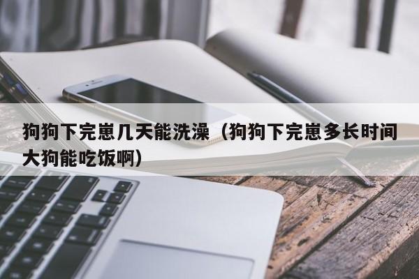 狗狗下完崽几天能洗澡（狗狗下完崽多长时间大狗能吃饭啊）