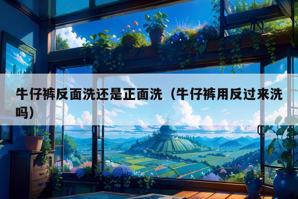 牛仔裤反面洗还是正面洗（牛仔裤用反过来洗吗）