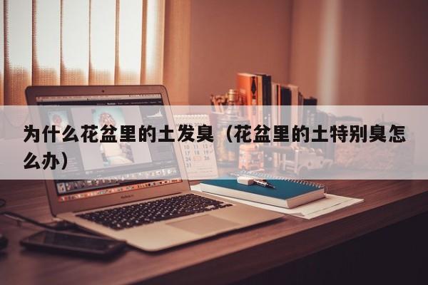 为什么花盆里的土发臭（花盆里的土特别臭怎么办）