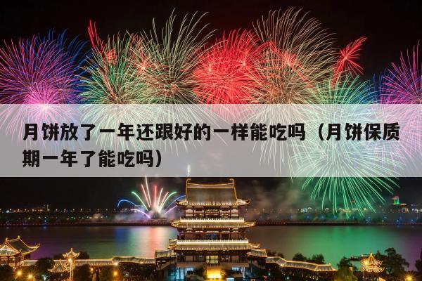 月饼放了一年还跟好的一样能吃吗（月饼保质期一年了能吃吗）