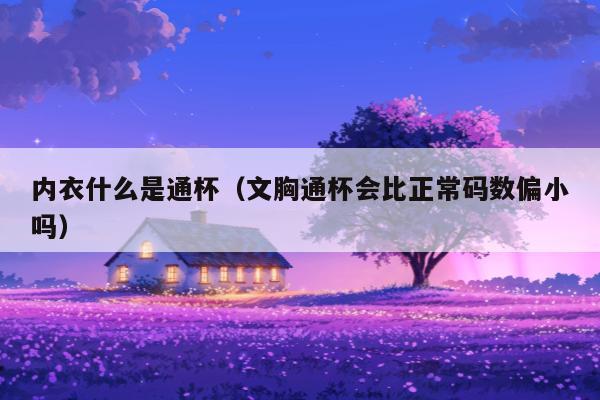 内衣什么是通杯（文胸通杯会比正常码数偏小吗）