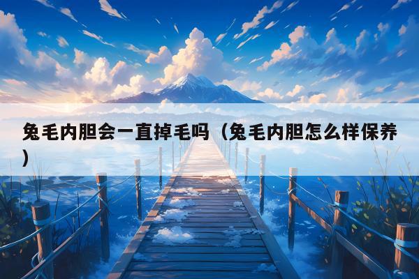 兔毛内胆会一直掉毛吗（兔毛内胆怎么样保养）