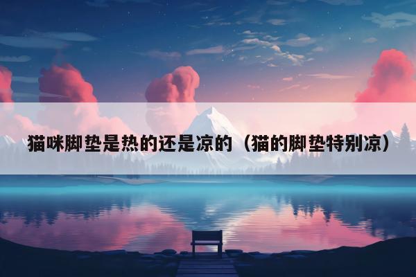 猫咪脚垫是热的还是凉的（猫的脚垫特别凉）