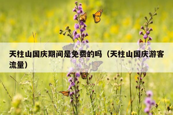 天柱山国庆期间是免费的吗（天柱山国庆游客流量）
