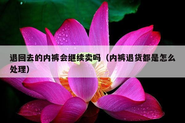 退回去的内裤会继续卖吗（内裤退货都是怎么处理）