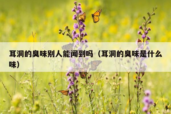 耳洞的臭味别人能闻到吗（耳洞的臭味是什么味）