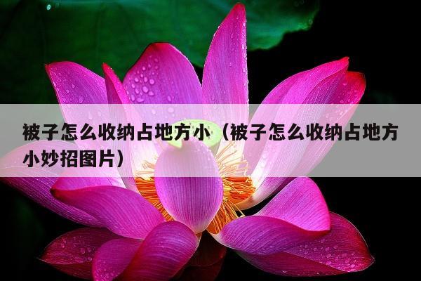 被子怎么收纳占地方小（被子怎么收纳占地方小妙招图片）