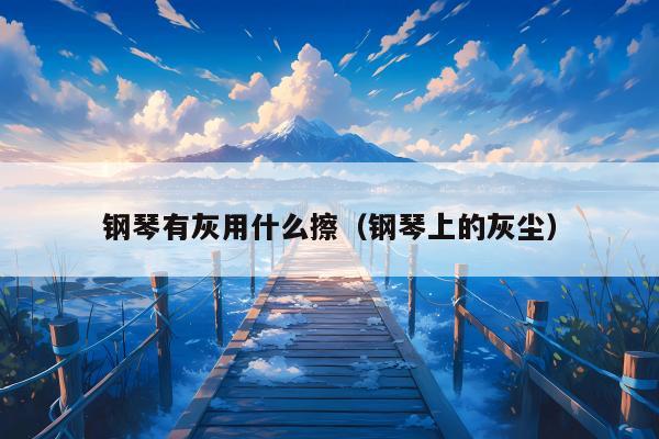 钢琴有灰用什么擦（钢琴上的灰尘）