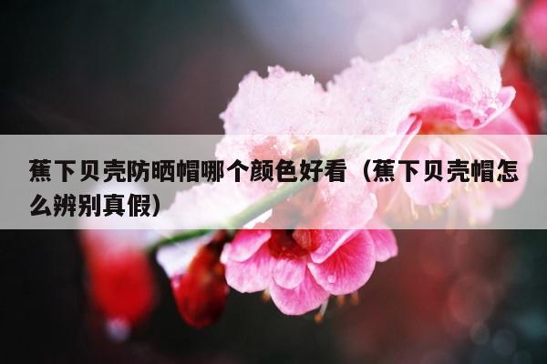 蕉下贝壳防晒帽哪个颜色好看（蕉下贝壳帽怎么辨别真假）