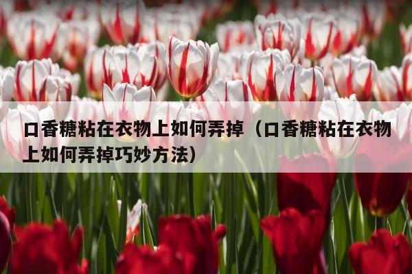 口香糖粘在衣物上如何弄掉（口香糖粘在衣物上如何弄掉巧妙方法）