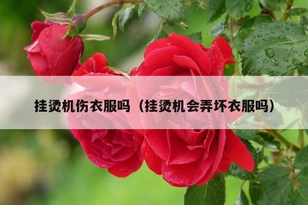 挂烫机伤衣服吗（挂烫机会弄坏衣服吗）