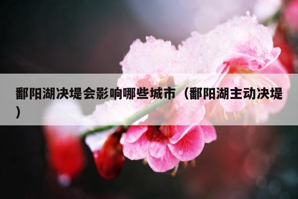 鄱阳湖决堤会影响哪些城市（鄱阳湖主动决堤）