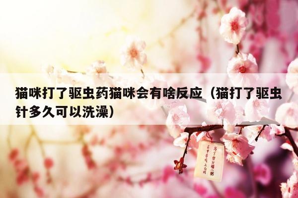 猫咪打了驱虫药猫咪会有啥反应（猫打了驱虫针多久可以洗澡）