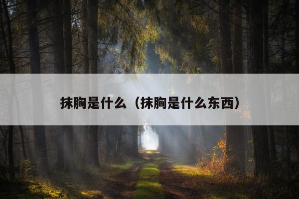 抹胸是什么（抹胸是什么东西）