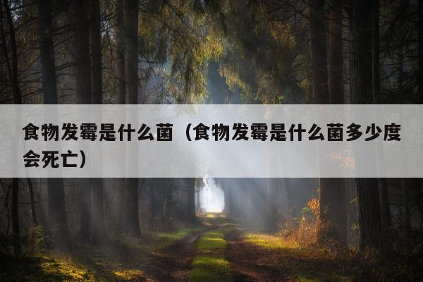 食物发霉是什么菌（食物发霉是什么菌多少度会死亡）