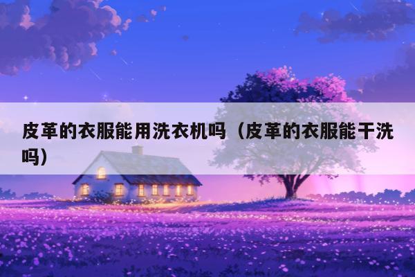 皮革的衣服能用洗衣机吗（皮革的衣服能干洗吗）