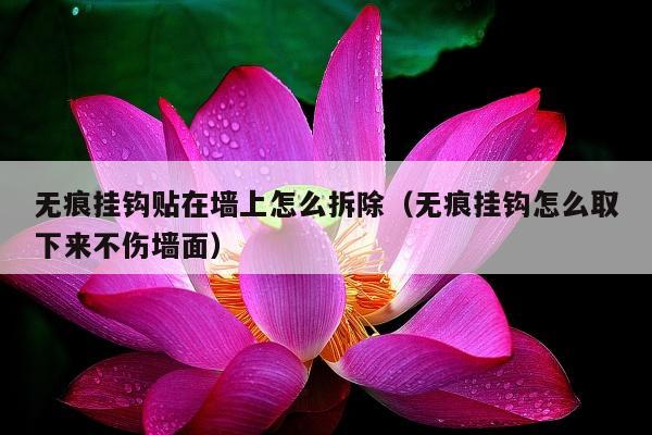 无痕挂钩贴在墙上怎么拆除（无痕挂钩怎么取下来不伤墙面）