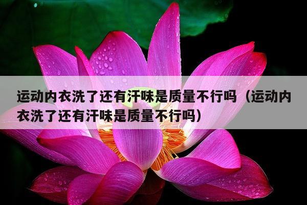 运动内衣洗了还有汗味是质量不行吗（运动内衣洗了还有汗味是质量不行吗）