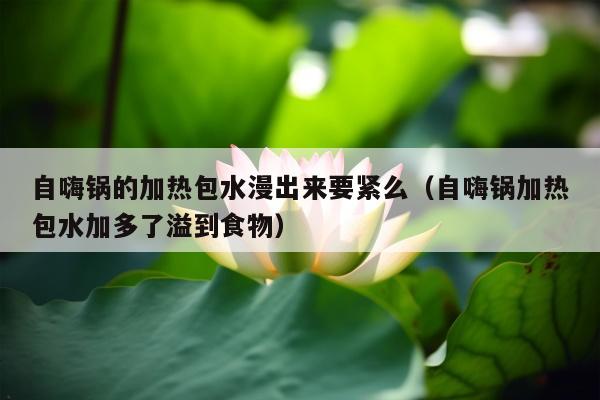 自嗨锅的加热包水漫出来要紧么（自嗨锅加热包水加多了溢到食物）