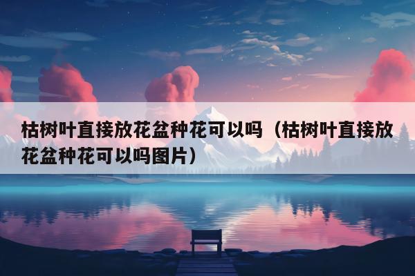 枯树叶直接放花盆种花可以吗（枯树叶直接放花盆种花可以吗图片）