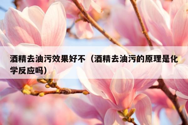 酒精去油污效果好不（酒精去油污的原理是化学反应吗）