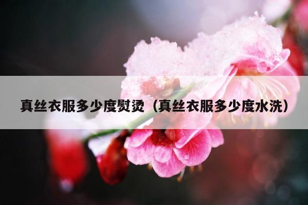 真丝衣服多少度熨烫（真丝衣服多少度水洗）
