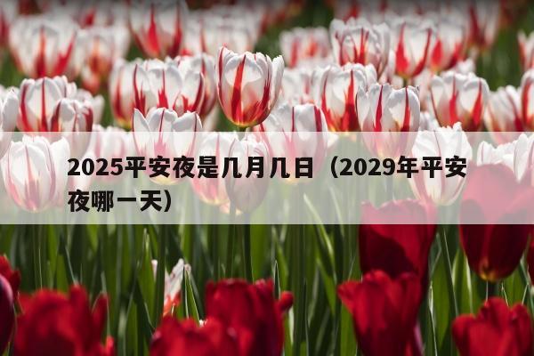2025平安夜是几月几日（2029年平安夜哪一天）