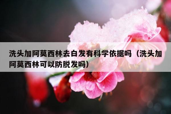 洗头加阿莫西林去白发有科学依据吗（洗头加阿莫西林可以防脱发吗）
