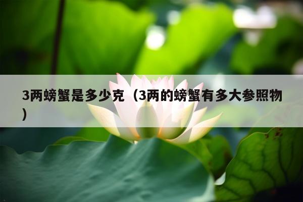 3两螃蟹是多少克（3两的螃蟹有多大参照物）