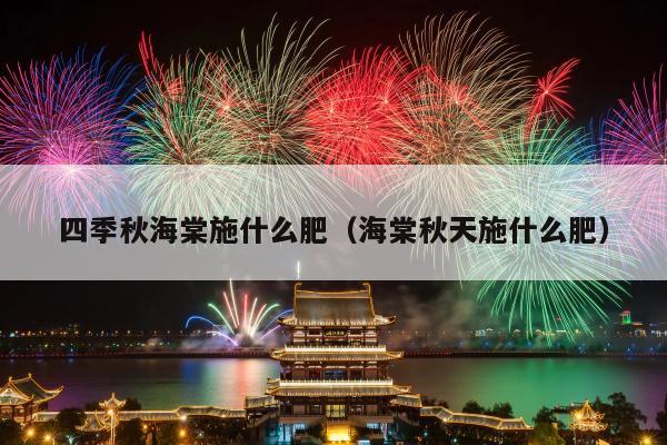 四季秋海棠施什么肥（海棠秋天施什么肥）
