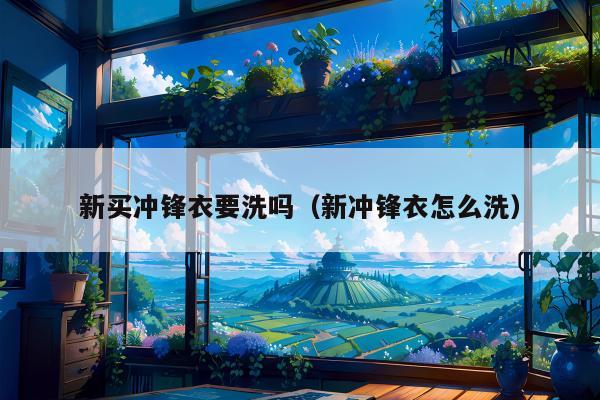 新买冲锋衣要洗吗（新冲锋衣怎么洗）