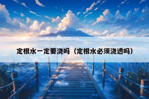 定根水一定要浇吗（定根水必须浇透吗）