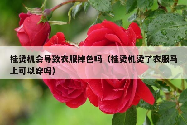 挂烫机会导致衣服掉色吗（挂烫机烫了衣服马上可以穿吗）