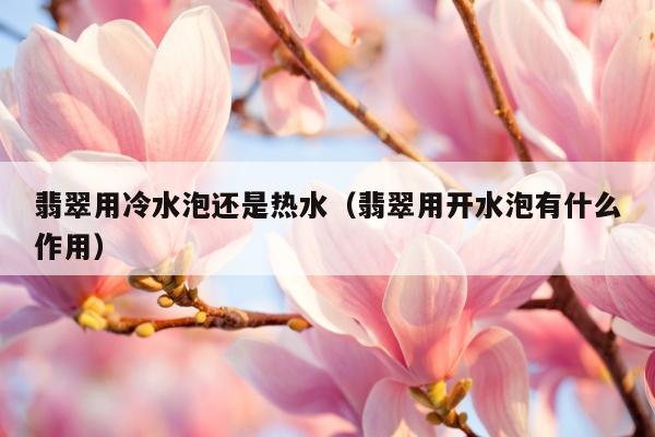 翡翠用冷水泡还是热水（翡翠用开水泡有什么作用）