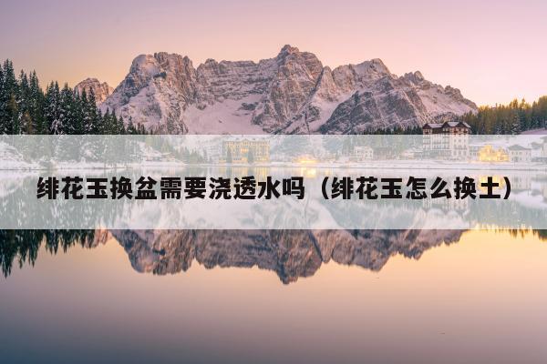 绯花玉换盆需要浇透水吗（绯花玉怎么换土）