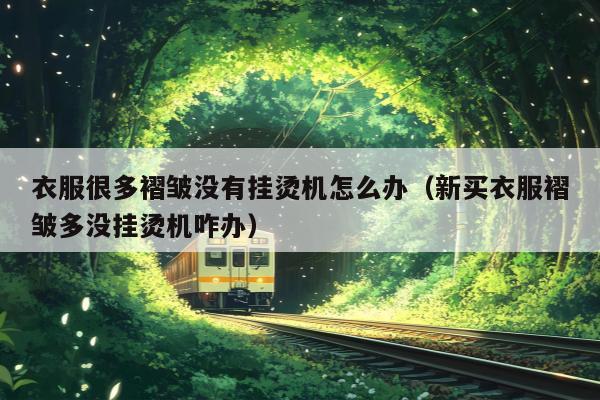 衣服很多褶皱没有挂烫机怎么办（新买衣服褶皱多没挂烫机咋办）