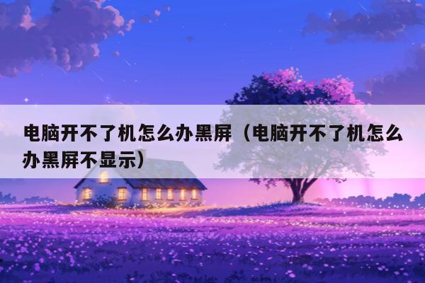 电脑开不了机怎么办黑屏（电脑开不了机怎么办黑屏不显示）