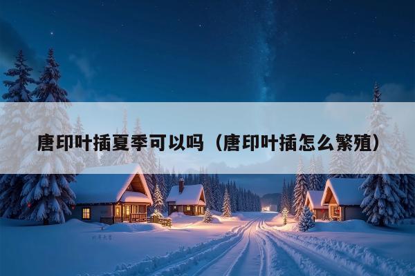 唐印叶插夏季可以吗（唐印叶插怎么繁殖）
