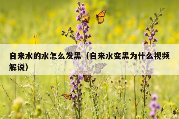 自来水的水怎么发黑（自来水变黑为什么视频解说）
