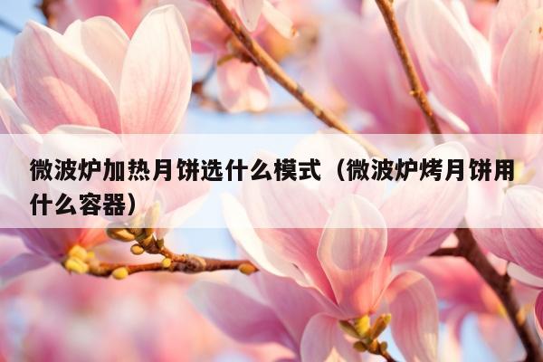 微波炉加热月饼选什么模式（微波炉烤月饼用什么容器）