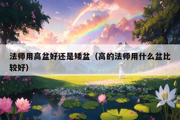 法师用高盆好还是矮盆（高的法师用什么盆比较好）