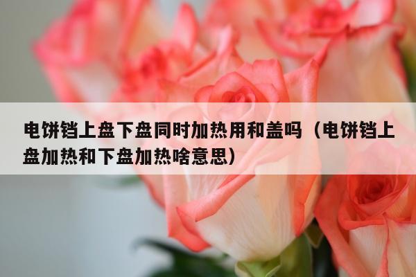 电饼铛上盘下盘同时加热用和盖吗（电饼铛上盘加热和下盘加热啥意思）