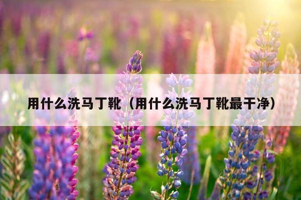 用什么洗马丁靴（用什么洗马丁靴最干净）