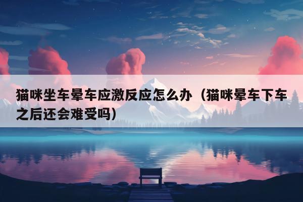 猫咪坐车晕车应激反应怎么办（猫咪晕车下车之后还会难受吗）
