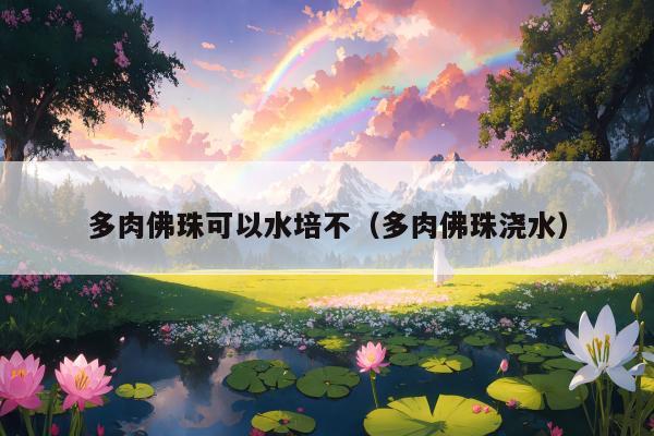 多肉佛珠可以水培不（多肉佛珠浇水）